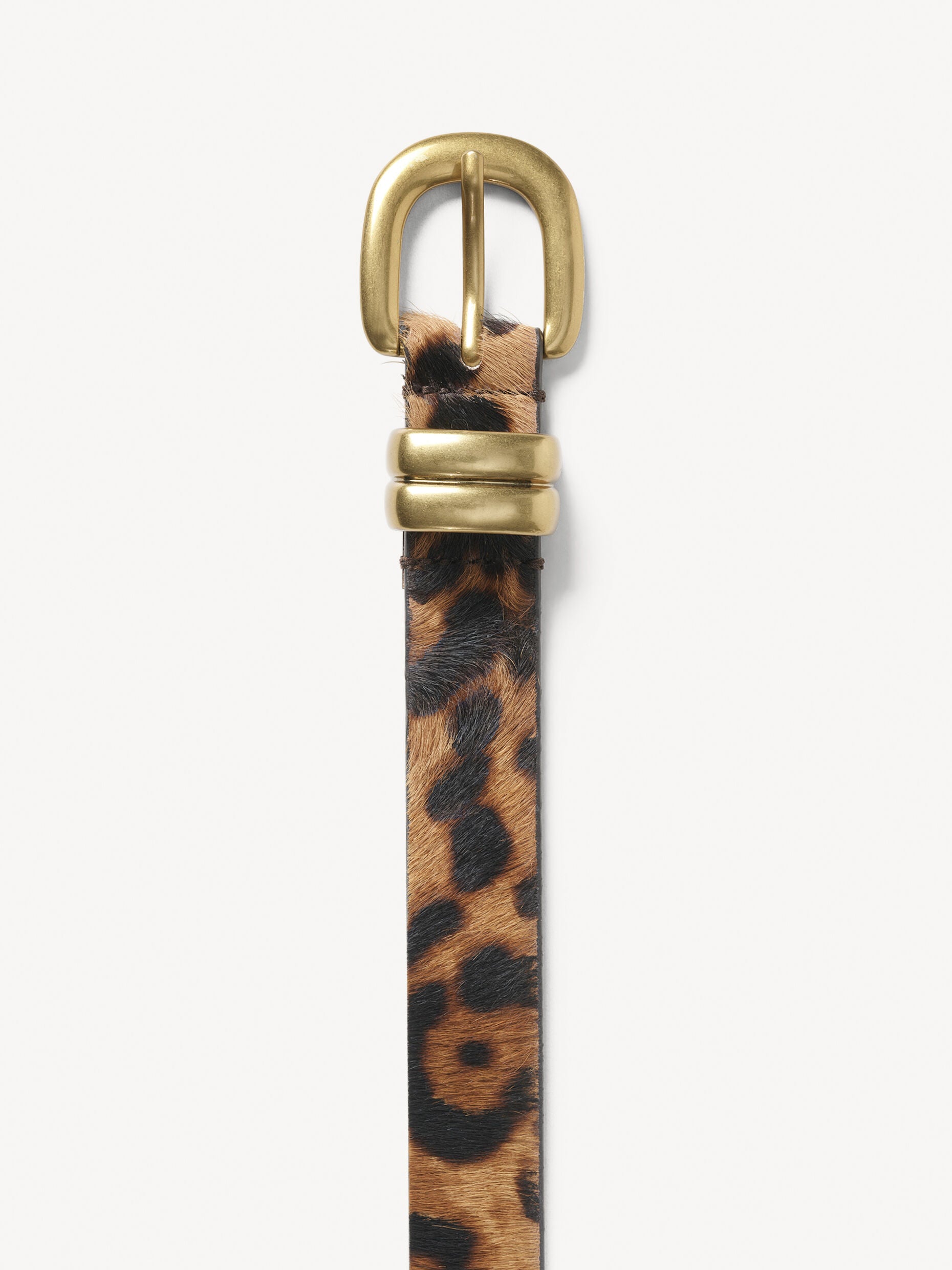 Zoilo Leo leather belt: Leopard